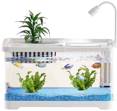 Renchey Aquarium Poisson,Kit Aquarium Paysagé pour Combattants, Crevettes et | Bols Décoratifs Intérieur Bureau Chambre Table Débutants Amoureux Animaux Guppys