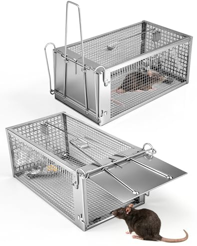 Akunsz - Ratas para ratas, diseño de ratas, color plateado