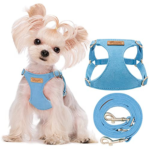 Puppytie No Pull xs Dog Harness with Multifunction Dog Leash,Soft Adjustable No Choke Escape Proof Pet Harness Vest,Ocean Blue,XS
