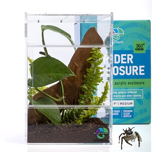 Spider Habitat Kit - Recinzione e terrario per ragni che saltano, habitat per lumache, terrario per insetti e insetti, recinzione per tarantole