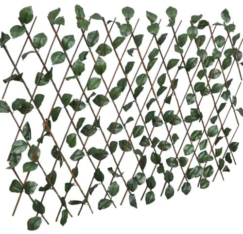 Wenjingqi 147751 Lot de 5 clôtures en treillis de saule Vert 180 x 30 cm