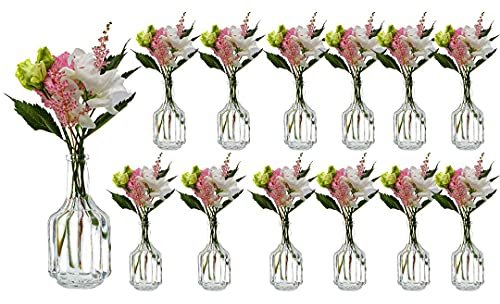 casavetro 12 x kleine Vasen Glasflaschen HALSI Glasfläschchen Landhaus Vintage Vase Flasche Glas klar Mini Deko-Flaschen Vasen (12 xHalsi)