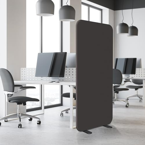 DECOLAB Room Divider Panel, Standing Privacy Partition Dividers for Office, Studio Apartment, Classroom, Home, Restaurant, Scratch Resistance, 29x65, Iron