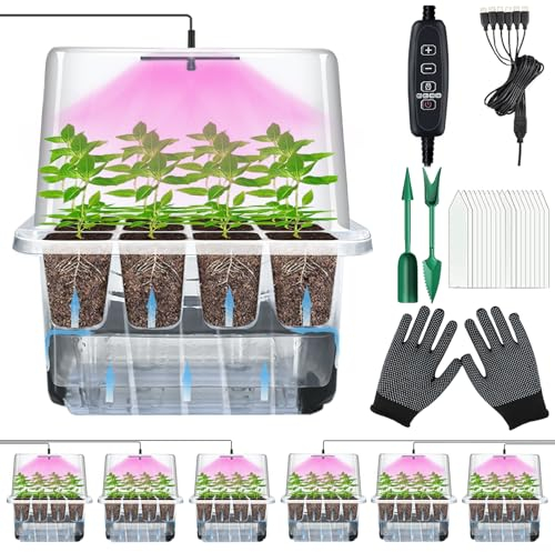 VEEKAY 6 Pièces Auto-arrosant Mini Serre pour Plantes kit,Kit de Culture Serre avec LED luminosité réglable,avec Coussin Absorbant,Température et humidité réglables,avec kit D'outils De Plantation