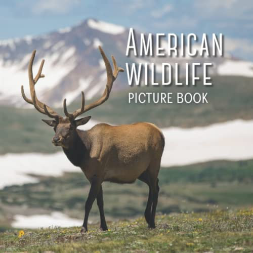 American Wildlife Picture Book: Wordless Book For Adults with Dementia, and Alzheimer's Disease, and Children with Learning Disabilities (Peach Tree Books: Picture Books)