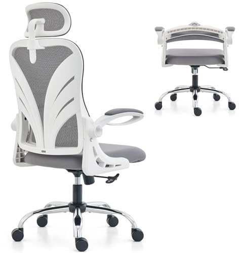 HOLLUDLE Office Chair with Folding Backrest, Ergonomic Computer Chair with 2D Headrest, Folding Armrests and Mesh Lumbar Support Office Seat, White