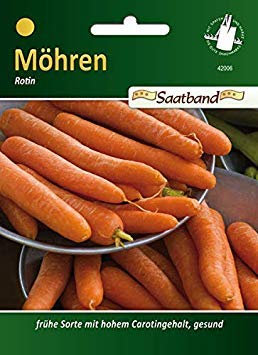 Carote Rotin 'Daucus Carota, bande de graines, Carote Semi, 42006