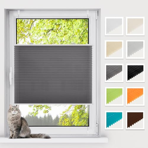 BelleMax Plissee ohne Bohren Klemmfix, Anthrazit 80x100cm(BxH), Easyfix lichtdurchlässig Sichtschutz und Sonnenschutz, Jalousie Plisseerollo mit Klemmträger, Faltrollo für Fenster & Tür