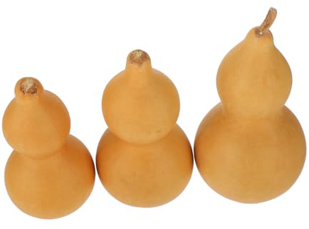 HOMOBABE 3pcs Natural Gourd Ornament Set with Khaki Colour for Home Decoration Mini Table Gourd Decor and Craft Making
