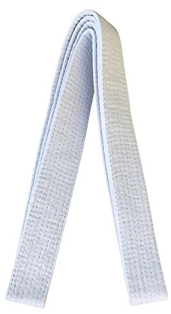 TMA Martial Arts Karate, Judo, Taekwondo Belts (White, 5)