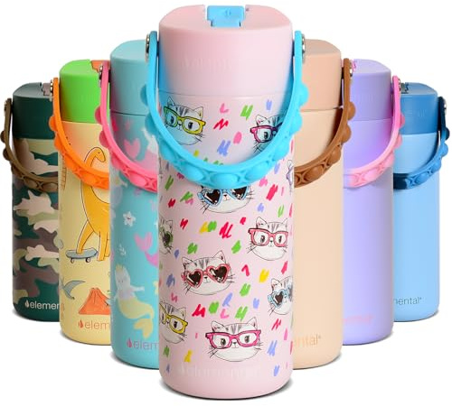 Elemental Insulated Kids Water Bottle, Stainless Steel Water Bottle with Straw Lid & Pop-It Handle, Leak-Proof Water Bottles for School, Boys or Girls, Travelling and Sports, 530ml - Stylish Cat