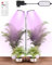 Olubfdh 168 LED Vollspektrum,LED Pflanzenlampe, 2 Köpfe 360° flexibler Schlauch Pflanzenlicht, 4/8/12 Auto-Timer, Einstellbar Boden stehend Grow Light für Zimmerpflanzen mit Fernbedienung