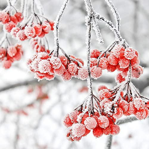 20 Servietten Eisige Beeren | Natur | Winter | Weihnachten | Tischdeko 33x33cm