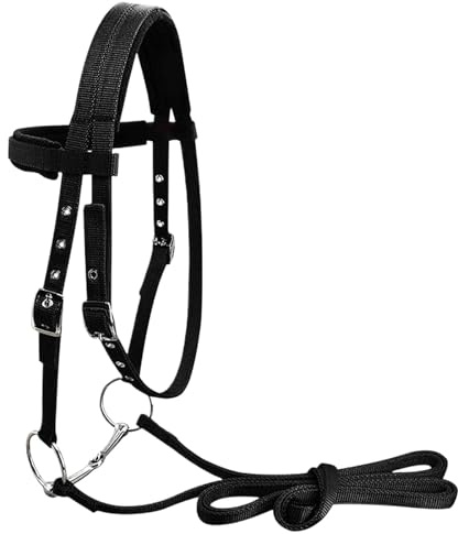 Juego De Cabecero Para Caballo: Cabecero De Caballo De Cuero De Primera Calidad, Brida De Cuero Para Montar A Caballo Con Cuerda De Plomo A Juego, Arnés Occidental Cómodo Y Ajustable Para Entrenar Y M