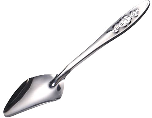 WNXGNHO Cuillères pour oiseaux de 11,4 cm - Pour nouveau-né, perroquet, inséparables, perruches, cacatoès, bébés