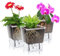 IWTTWY 3 Pack Self Watering Plant Pot, 13cm Clear Planters for Indoor Plants with Reservoir and Wick Cord, Plastic Flower Pots for Orchid, African Violet, Peace Lily (3 large)