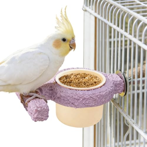 Feeder - 15 cm Kloslipsticka (1) Matskål och papegojabborre | Grov slipstång, matningsleksak av trä, hälsosam fotvårdstillbehör för hamstrar eller undulater Habitat