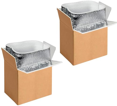 YSSOA 2 Pack Insulated Shipping Boxes with Aluminum Foil Liner,Thermal Insulation Cold Pack Shipping Boxes for Frozen, Reusable Styrofoam Cooler Box, Small Mailing Box, 6’’X5’’X9’’