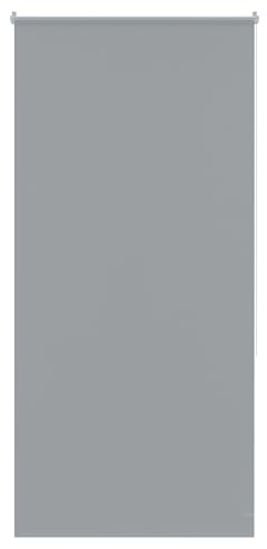 Aufun Tenda a rullo oscurante, con tirante laterale, senza fori, fissaggio a morsetto (110 x 210 cm, grigio)