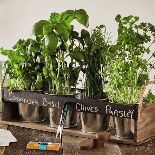 Chalk Board Herb Garden Gift Set - Easy to Grow Herb Seeds for Beginners - 1 X Herb Gift Set by Thompson and Morgan