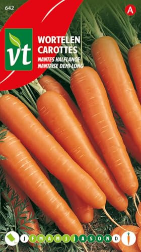 Zanahorias Nantaise Semillas Medio Largas - Hermosa raíz bien coloreada con punta obtusa