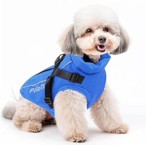 PcEoTllar Abrigo Impermeable para Perros pequeños, Chaqueta Reflectante cálida con arnés para Invierno, Disfraz de esquí, suéter de algodón para Perro, Azul, M