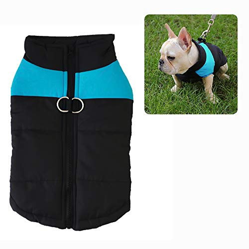 Cappotto Cani Autunno Inverno, ZoneYan Giacca Cotone Cani Caldo, Gilet Animali Domestici Impermeabile, Cane Cagnolino Abiti, Cucciolo Abbigliamento Giacca Imbottita