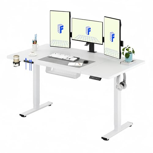 FLEXISPOT 160 * 60cm Electric Standing Desk Adjustable Standing Desk Sit Stand Up Desk Computer Desk with Hook Memory Function for Office and Home (White+White)