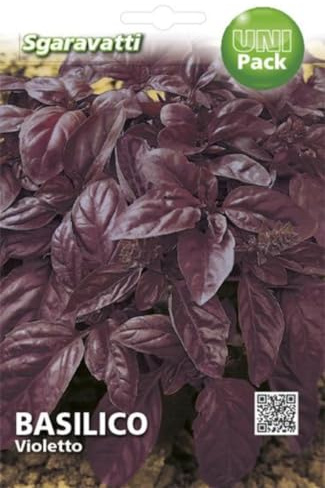 SEMI BASILICO VIOLETTO SEMENTI ORTO PROFESSIONALI SEEDS BASIL SEMILLAS ALBAHACA GRAINES BASILIC SEMEN BASILIKUM