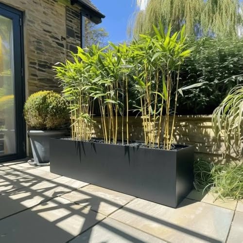 1.2m/1m/75cm/70cm Zinc Galvanised Trough Planter | No Assembly Needed | Lightweight (Matte Black, L120cm x W40cm x H40cm)