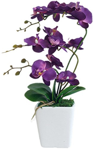 YSZL 15 Tall Artificial Silk Phalaenopsis Orchid Flower Plant Pot Arrangements (Dark Purple)