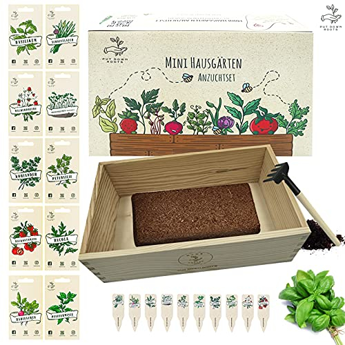 MINI HAUSGÄRTEN ANZUCHTSET mit Holzkiste und 10 Pflanzen Samen: Kinder Anzuchtset Pflanzen mit Gemüse Samen, Walderdbeere Samen und Kräuter Samen –Mini Gewächshaus und Mini Garten Starter Kit