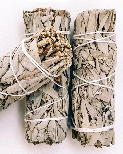 Incensera Salvia Bianca da Bruciare – 3 Confezioni Naturale Sciamanica per Purificazione, Armonia ed Energia Positiva
