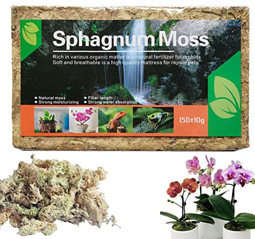 COMFOLIVING 5 Musgo de esfagno Natural | Orquídea Sphagnum Musgo Secado | Mezcla Natural para macetas de orquídeas, enraizar Plantas y esquejes