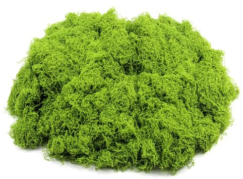 XIAQICA Moos zum Basteln 270g Natur Dekomoos zum Basteln Moos Künstlich Deko Bastelmoos Konserviertes DIY Home Decor Modellbau Ostern