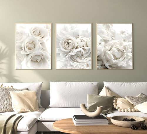 Conjunto de cuadros decorativos modernos en estilo bohemio con plantas estéticas, paisaje natural de playa, arte abstracto, sin marco (40 x 60 cm, 3 piezas, póster 02)