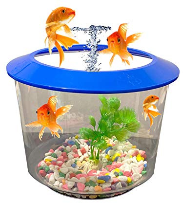 Pet Living Goldfish Bowl Strater Set Gold Fish Bowl with Ornamental Plant Fish Bowl (BLUE)