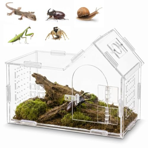 Dexpally Terrarium Phasme Terrarium à Escargots en Acrylique Boîte d'alimentation pour Reptiles Mini Terrarium pour Insectes (20 x 10 x 15 cm)