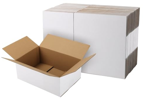 EYMPEU Carton Emballage Colis 25,4x17,8x10,2 cm, Lot de 40 Boites Carton d'Expédition en Blanche