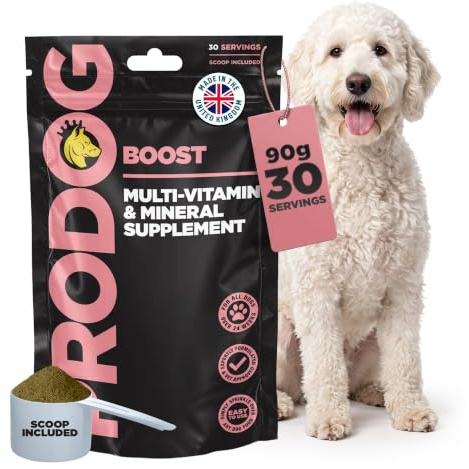 ProDog Boost Dog Multivitamin & Mineral Supplement | 28 Nutrients 90g | 28 essential nutrients incl green lipped mussel, reishi & probiotics; all breeds over 24 weeks; powder food topper; UK made
