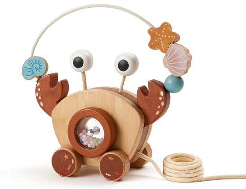 Pull-Along Walking Toys for Babies 12 Months +,4 in 1 Push and Pull Toy for Toddlers Aged 1-2 and 3-4 Years Old, Wooden Baby Toys, Montessori Early Development Sensory Toy