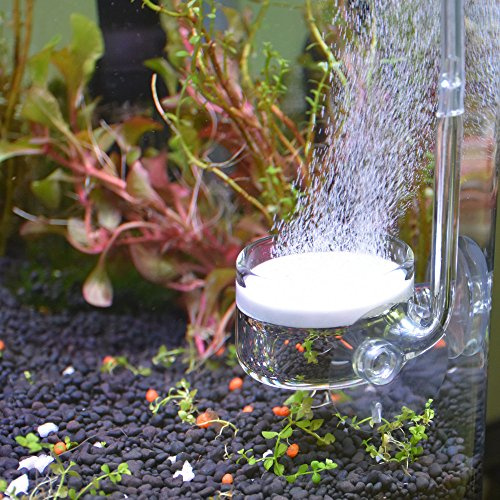 Yagote CO2 - Accesorios de suministro de acuario de cristal, difusor de CO2 Drop Checker CO2 contador de burbujas de CO2 Válvula de retención para acuario plantado tanque