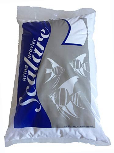 Scalare Scalare Sable De Riviere Blanc 8 kg