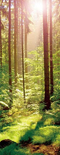 A.Monamour Türtapete Selbstklebend Türfolie Türposter 3D Magischer Frühlings Wald Mit Sonnen Naturlandschaft Vinyl Folie Türdeko Tapete Wandbild Türaufkleber Türtattoo 77 x 200 cm
