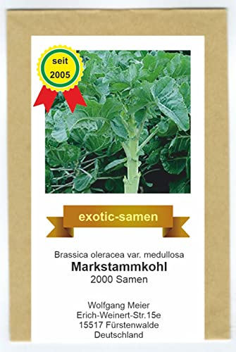 Markstammkohl - vergessenes Gemüse - Brassica oleracea - 2000 Samen