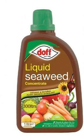 4 X Doff 1L Liquid Seaweed Concentrated Multi-Purpose Fee