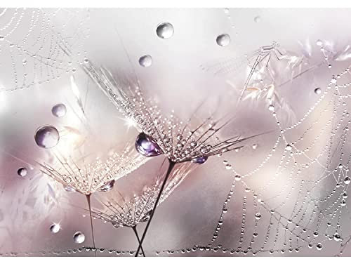 Runa Art Papel tapiz fotográfico 396 x 280 cm Flores Pusteblume | Lana Decoración De Pared Sala Cuarto | Made in Germany | rosado 9557012b