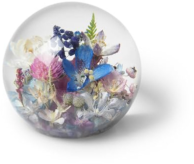 In Flore Vilda blommor brevpress i resin glas, med äkta vilda ängsblommor, 8 cm