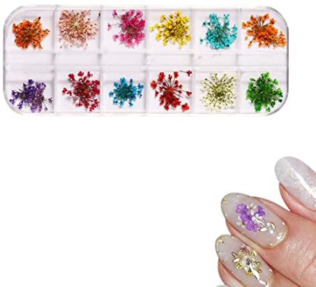 Clyhon Fiori Secchi per Unghie - 1 Scatole Fiori Secchi per Artigianato in Resina, 3d Nail Art Set di Decorazioni Accessori