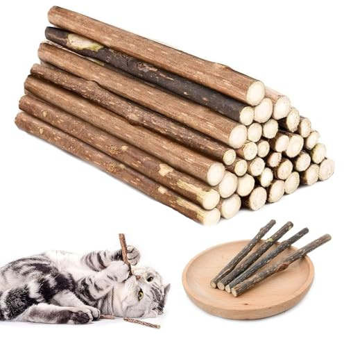 Lot de 30 bâtons de soin dentaire naturel pour chat en bois Matataki avec arôme de menthe pour chat - Jouet à mâcher contre le tartre et pour le nettoyage des dents - Friandises à mâcher biologiques